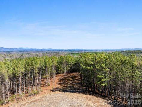 Tbd Williams Loop Columbus NC 28722