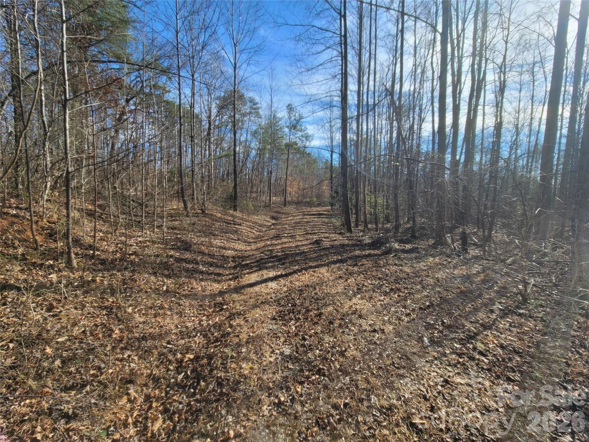 0 Smith Waldrop Road Columbus NC 28722