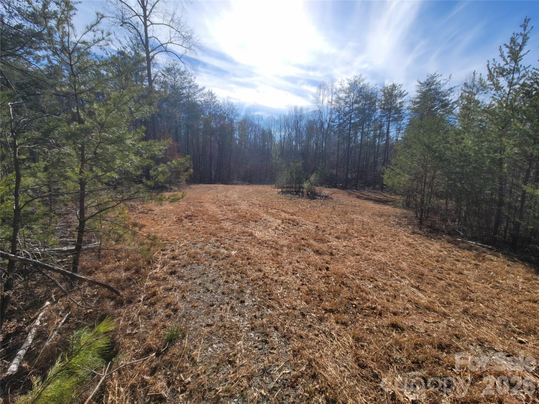 0 Smith Waldrop Road Columbus NC 28722
