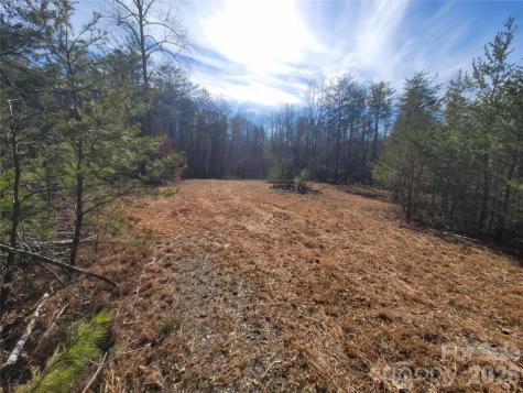 0 Smith Waldrop Road Columbus NC 28722