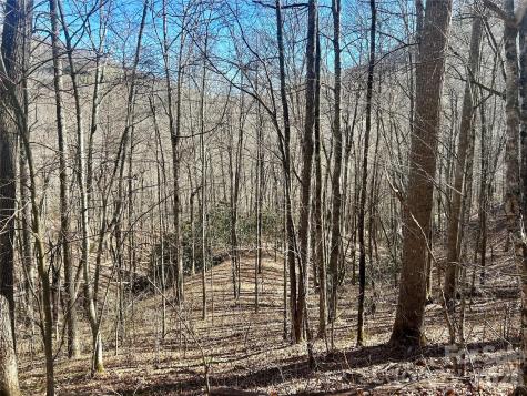 0 Deep Gap View Whittier NC 28789