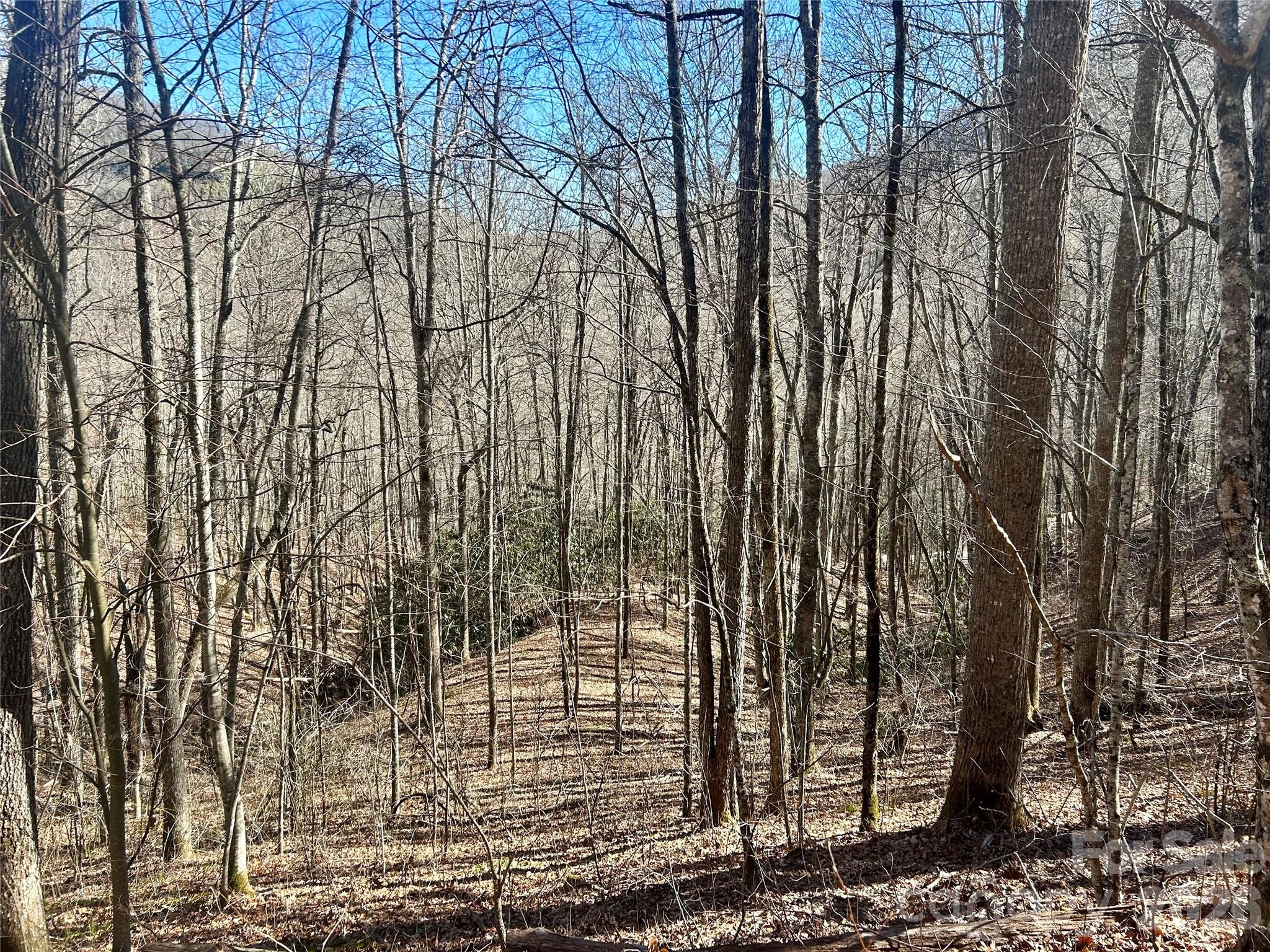 0 Deep Gap View Whittier NC 28789