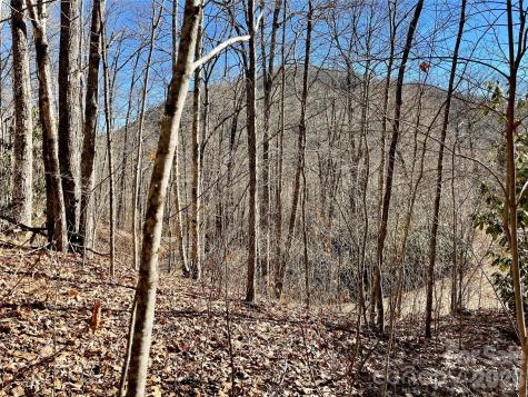 0 Deep Gap View Whittier NC 28789