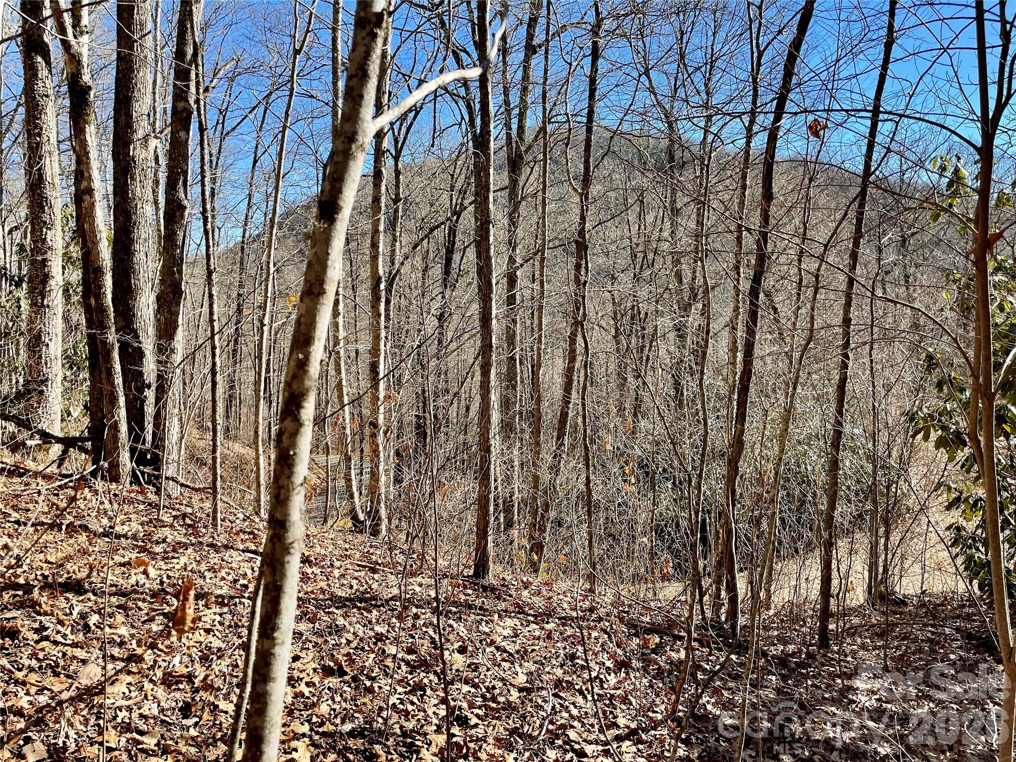 0 Deep Gap View Whittier NC 28789