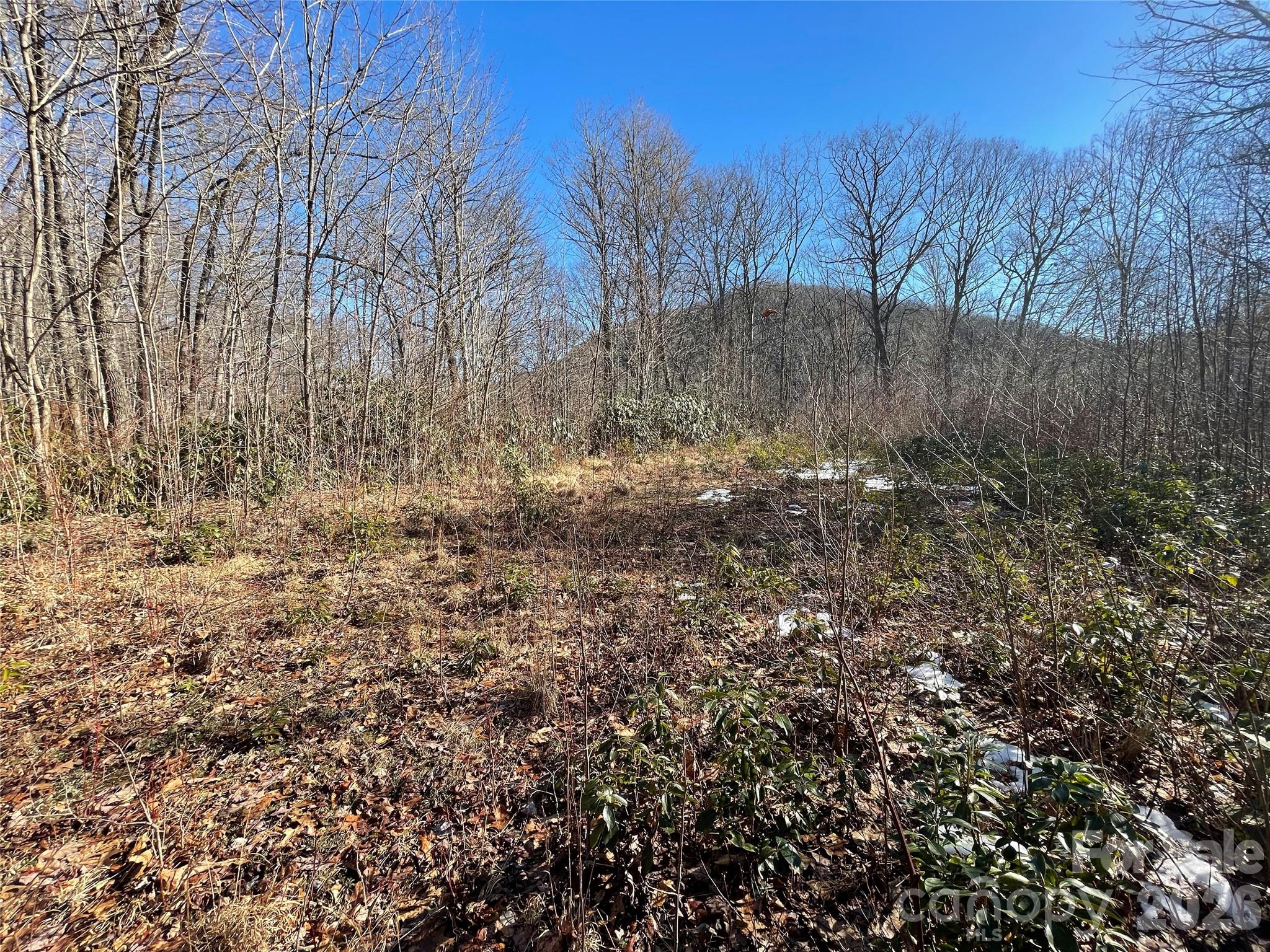 0 Deep Gap View Whittier NC 28789