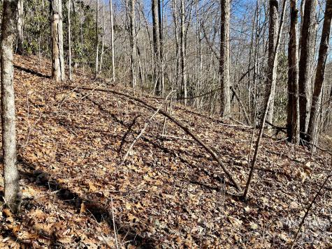 0 Deep Gap View Whittier NC 28789