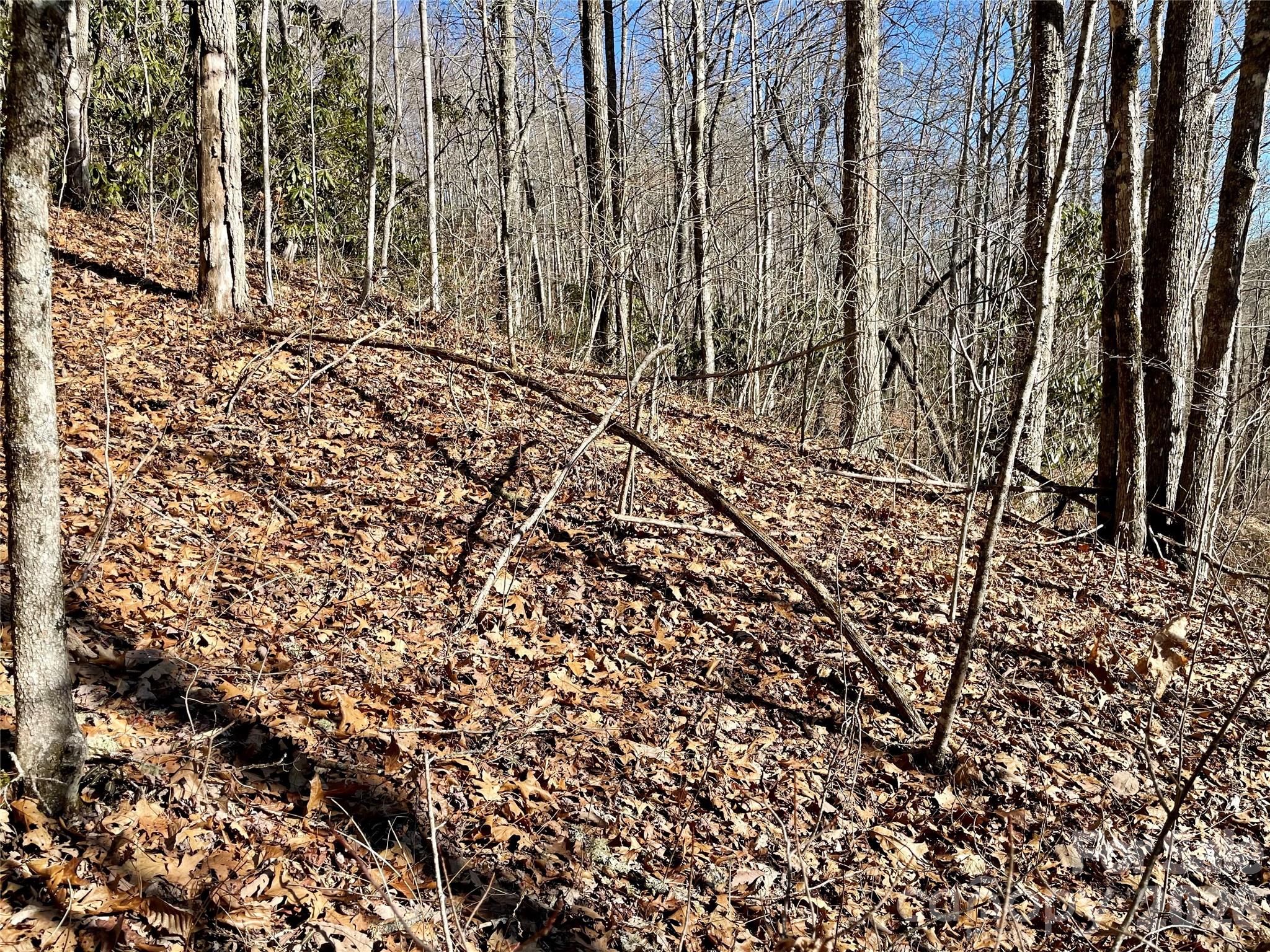 0 Deep Gap View Whittier NC 28789