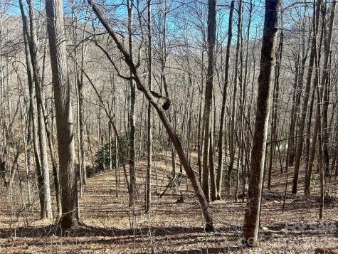 0 Deep Gap View Whittier NC 28789