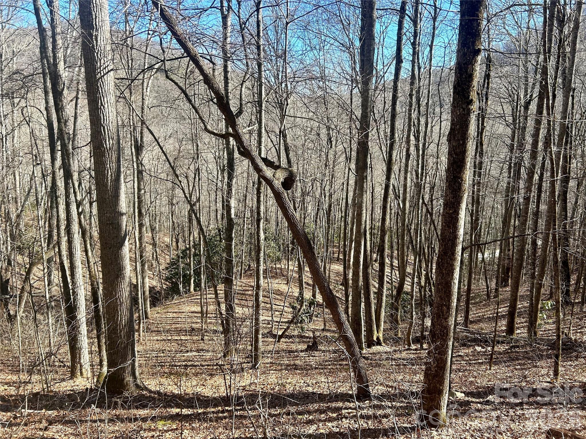 0 Deep Gap View Whittier NC 28789