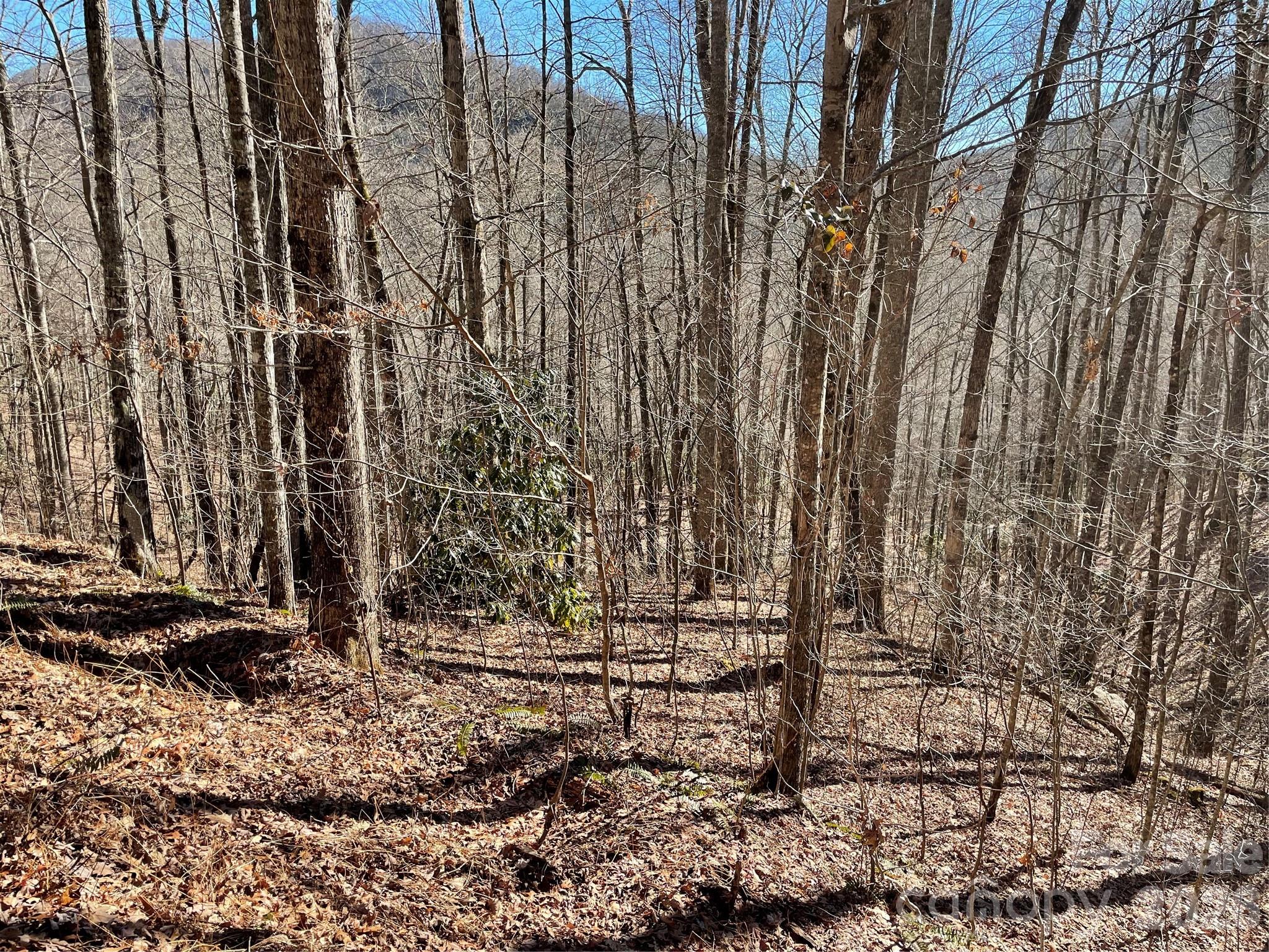 0 Deep Gap View Whittier NC 28789