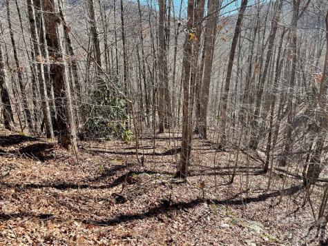 0 Deep Gap View Whittier NC 28789