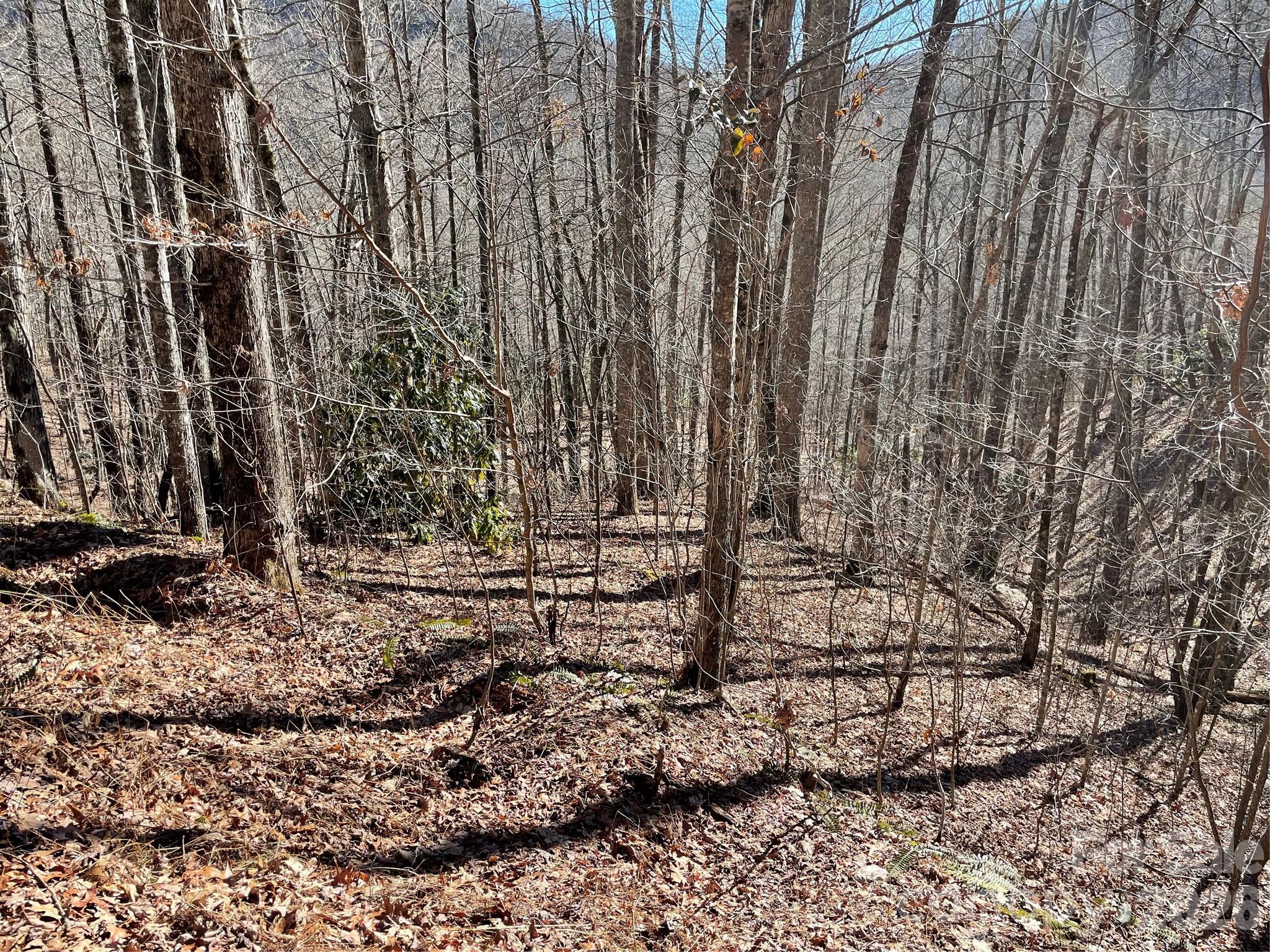 0 Deep Gap View Whittier NC 28789
