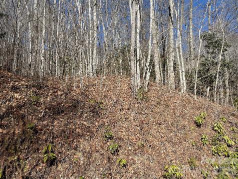 0 Deep Gap View Whittier NC 28789
