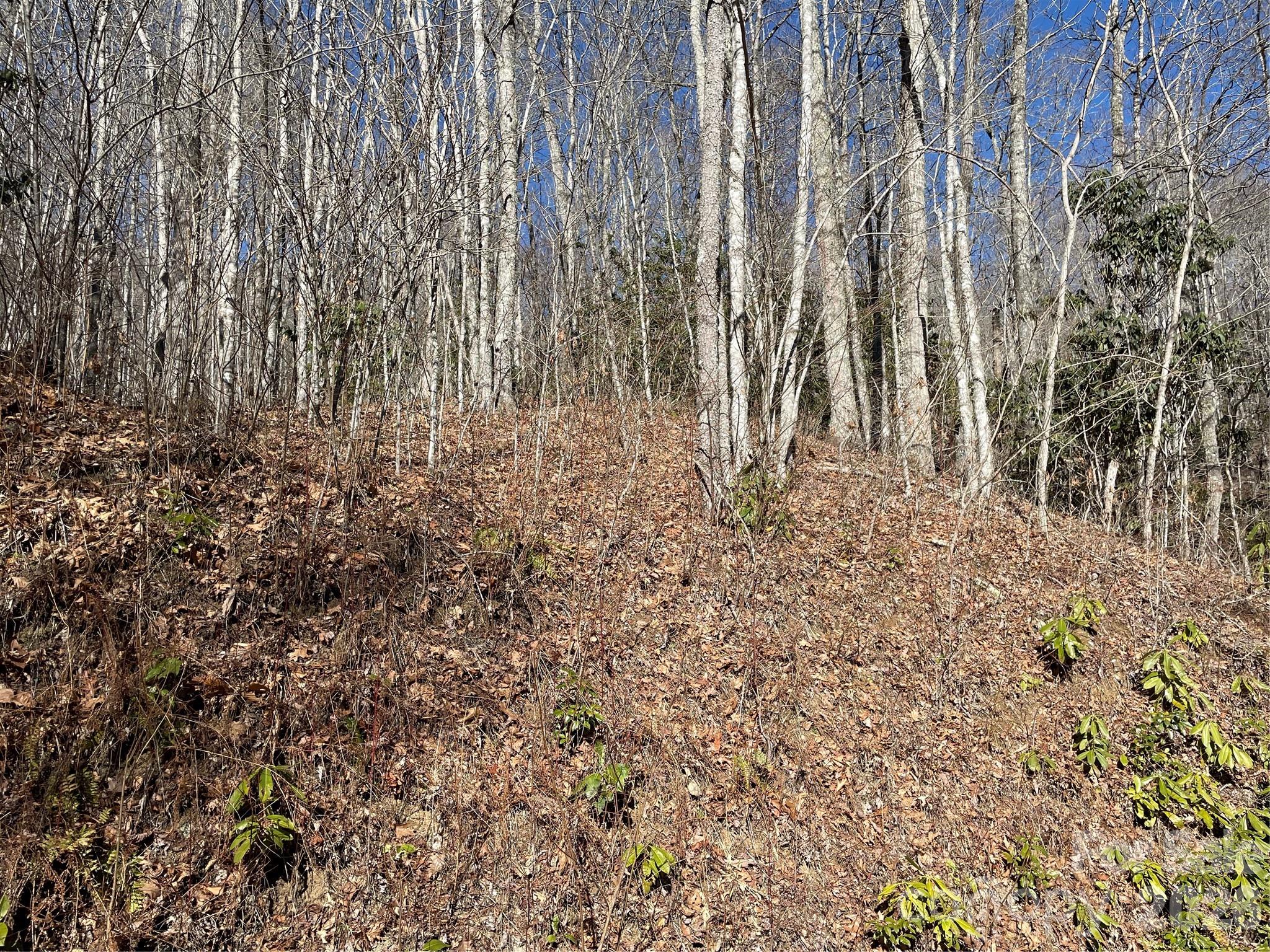 0 Deep Gap View Whittier NC 28789