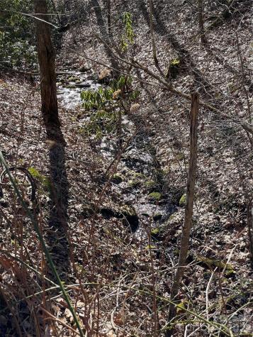 0 Deep Gap View Whittier NC 28789