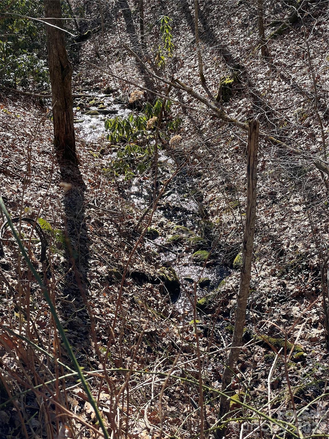 0 Deep Gap View Whittier NC 28789