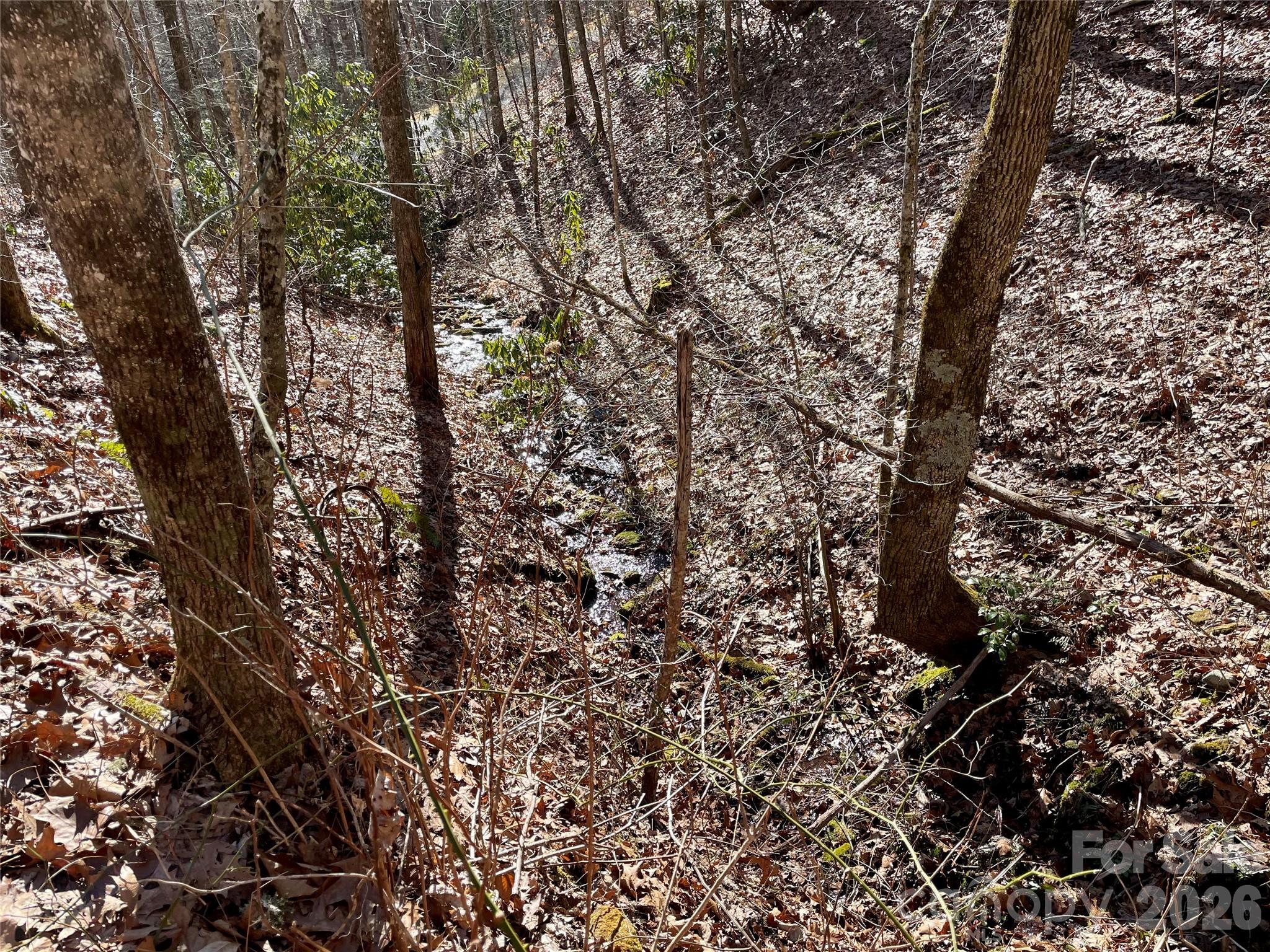 0 Deep Gap View Whittier NC 28789