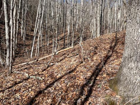 0 Deep Gap View Whittier NC 28789