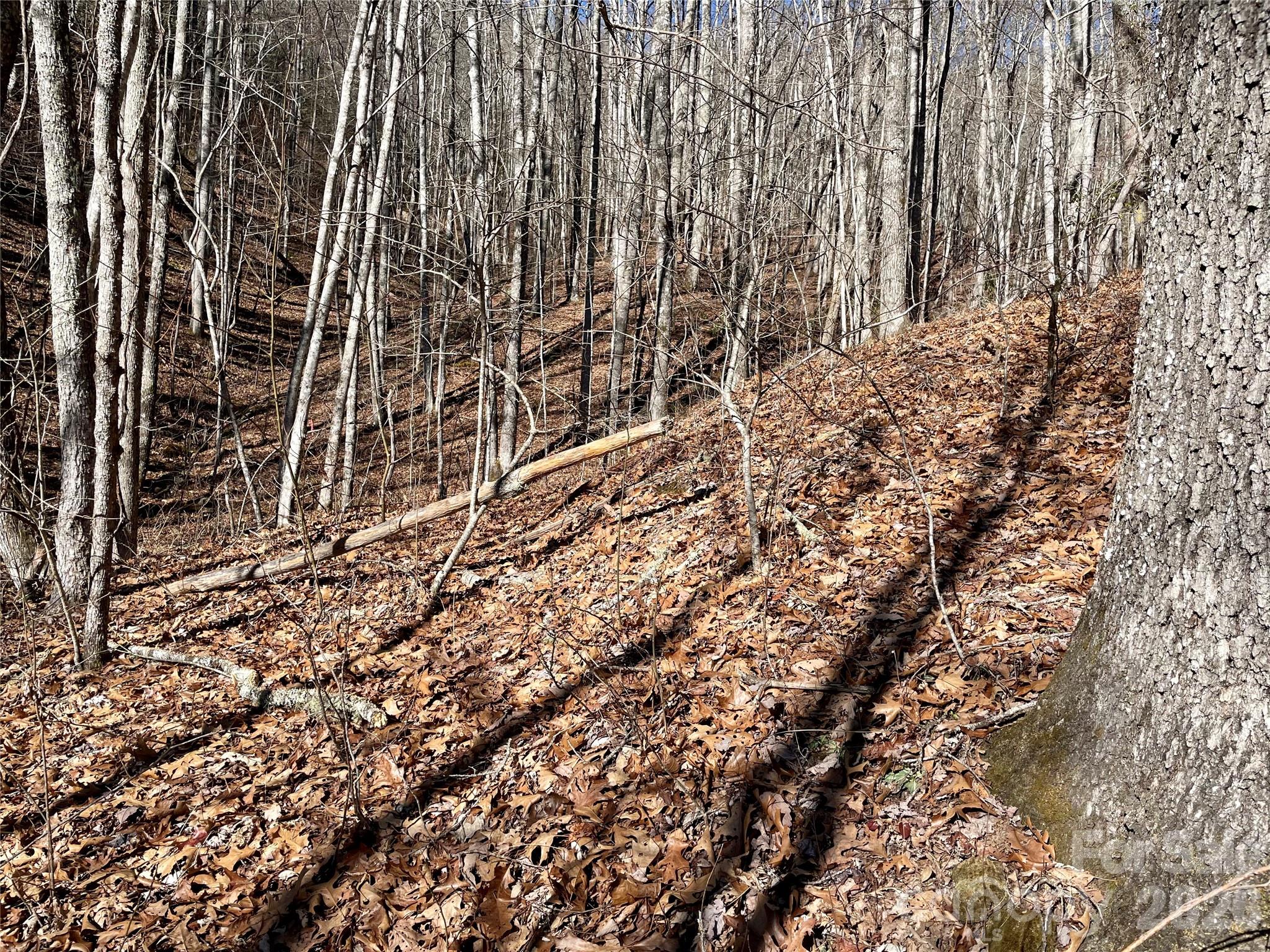 0 Deep Gap View Whittier NC 28789