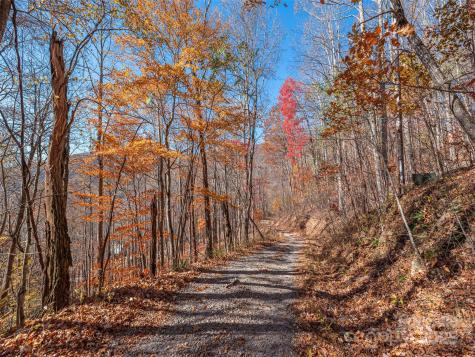 112 & 113 Grouse Road Clyde NC 28721