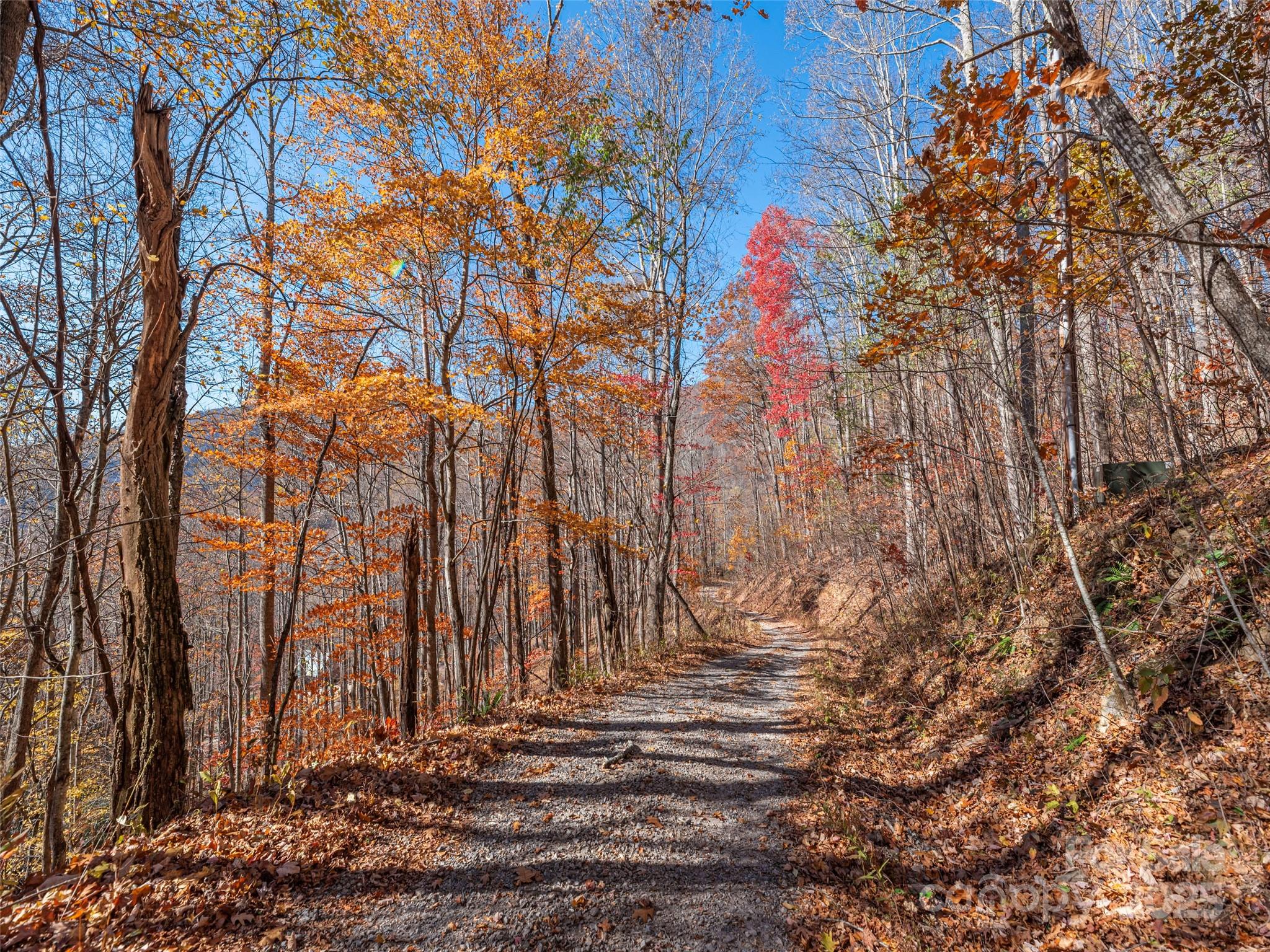 112 & 113 Grouse Road Clyde NC 28721