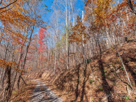 112 & 113 Grouse Road Clyde NC 28721