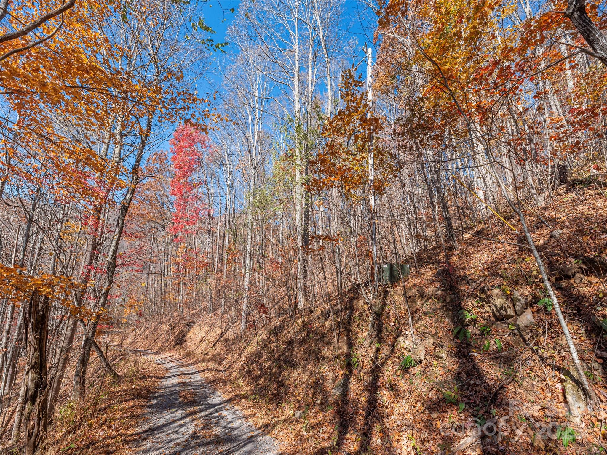 112 & 113 Grouse Road Clyde NC 28721
