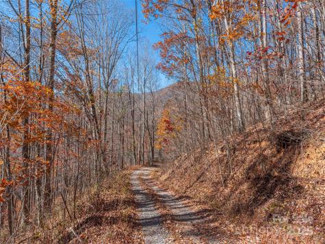 112 & 113 Grouse Road Clyde NC 28721