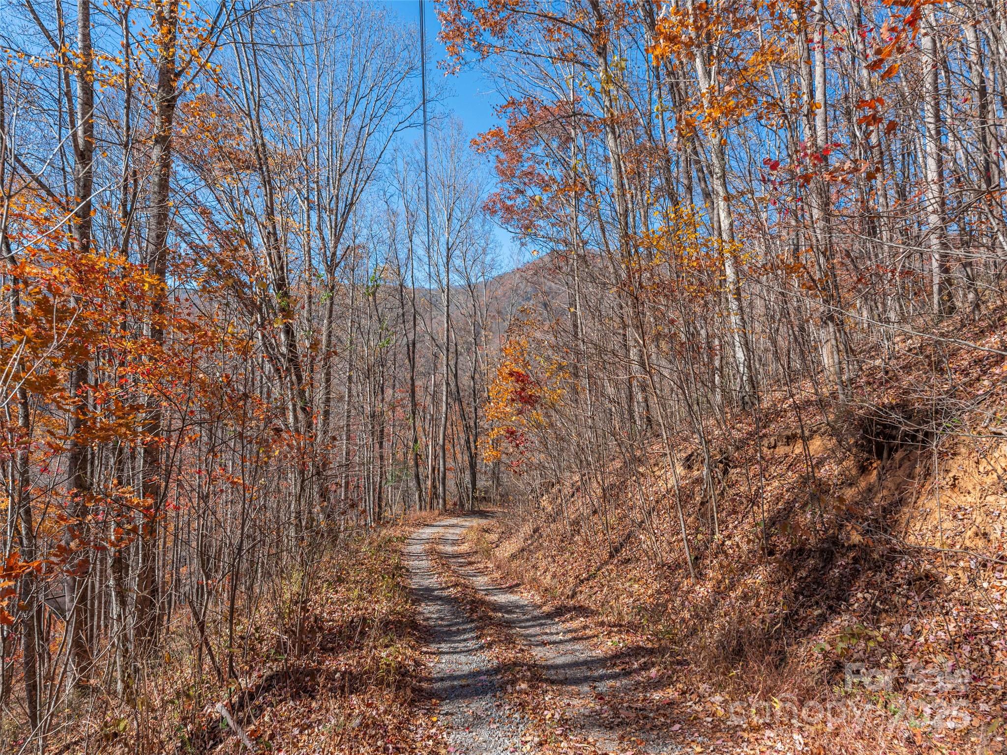 112 & 113 Grouse Road Clyde NC 28721