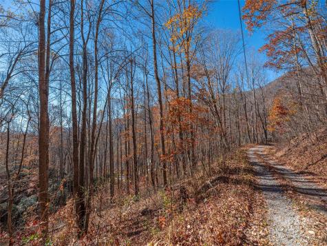 112 & 113 Grouse Road Clyde NC 28721