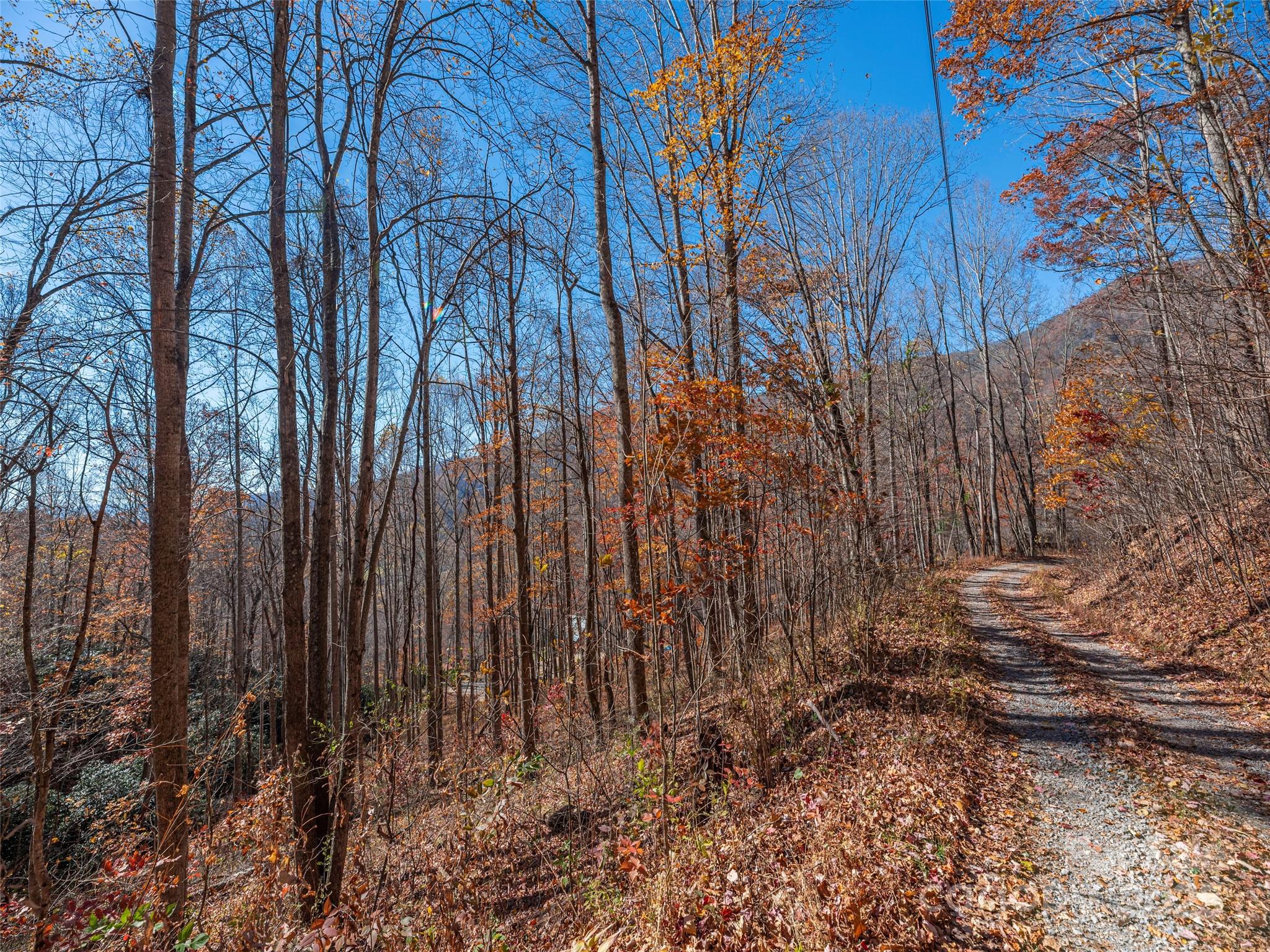 112 & 113 Grouse Road Clyde NC 28721