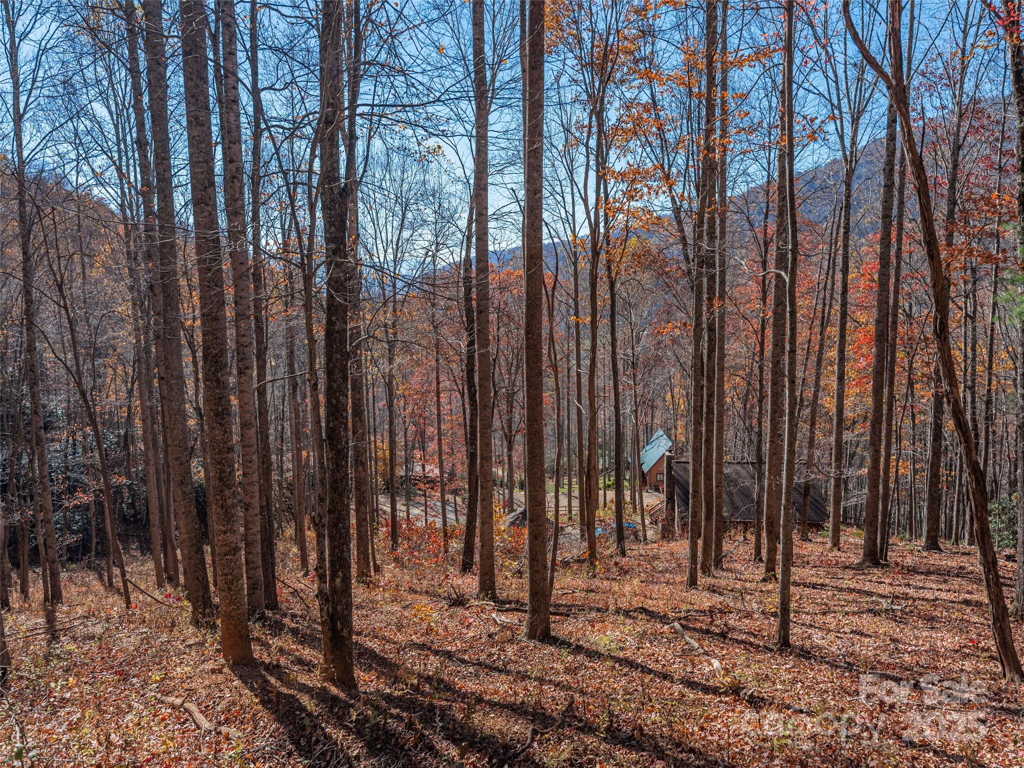 112 & 113 Grouse Road Clyde NC 28721
