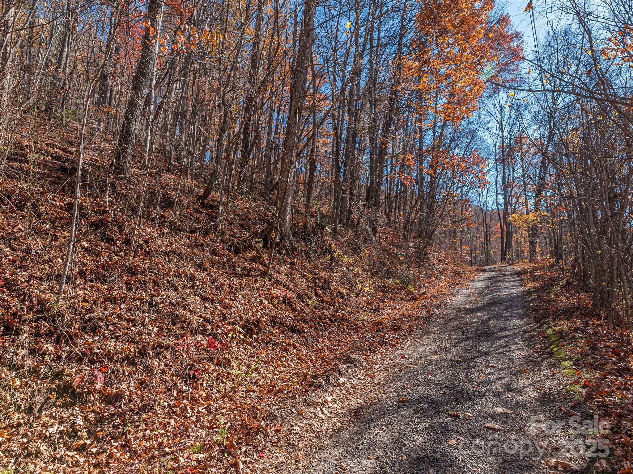 112 & 113 Grouse Road Clyde NC 28721