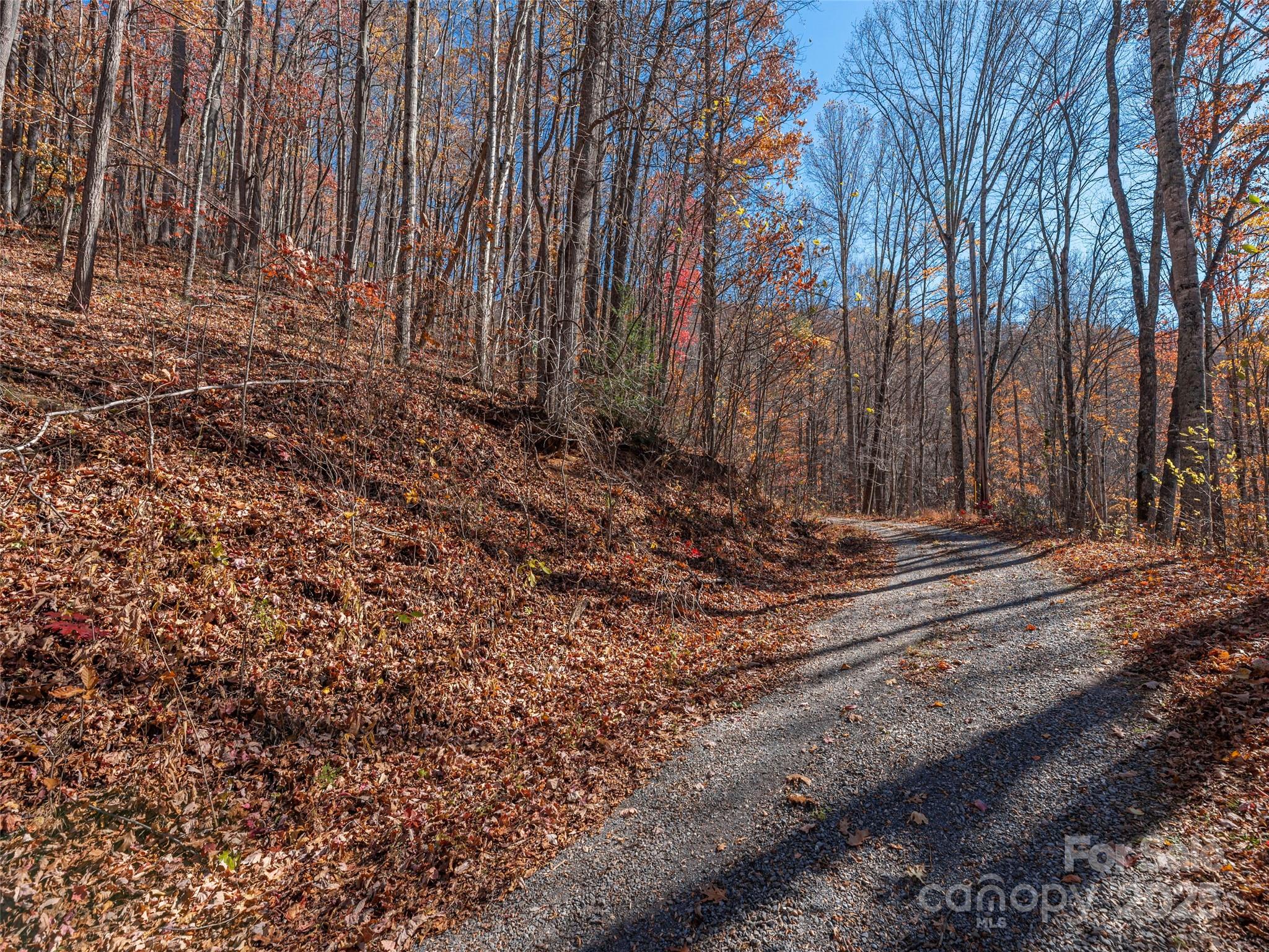 112 & 113 Grouse Road Clyde NC 28721