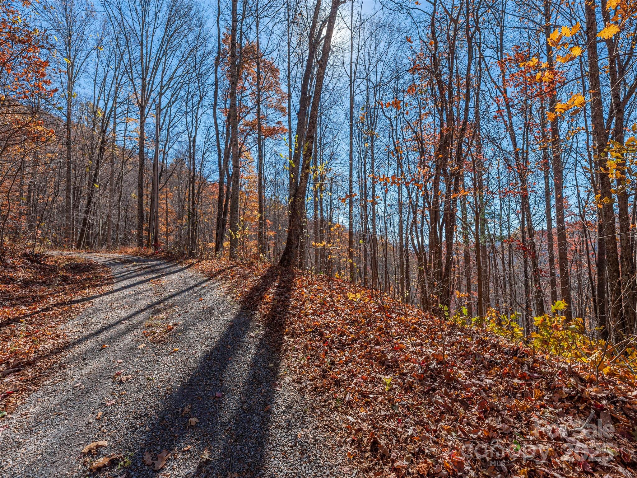 112 & 113 Grouse Road Clyde NC 28721