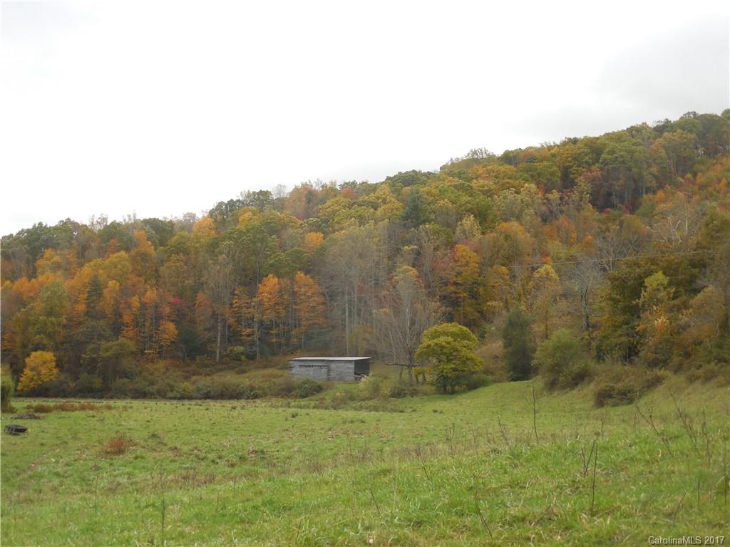 60 Grace Mountain Drive Candler NC 28715