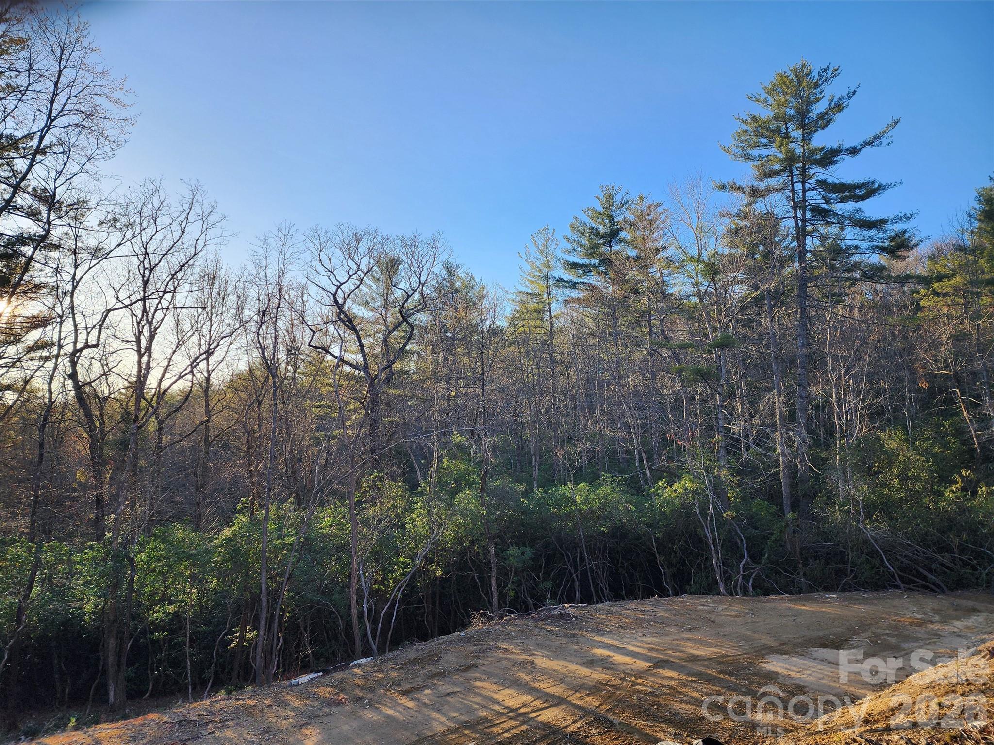 000 Bulling Creek Road Hendersonville NC 28739