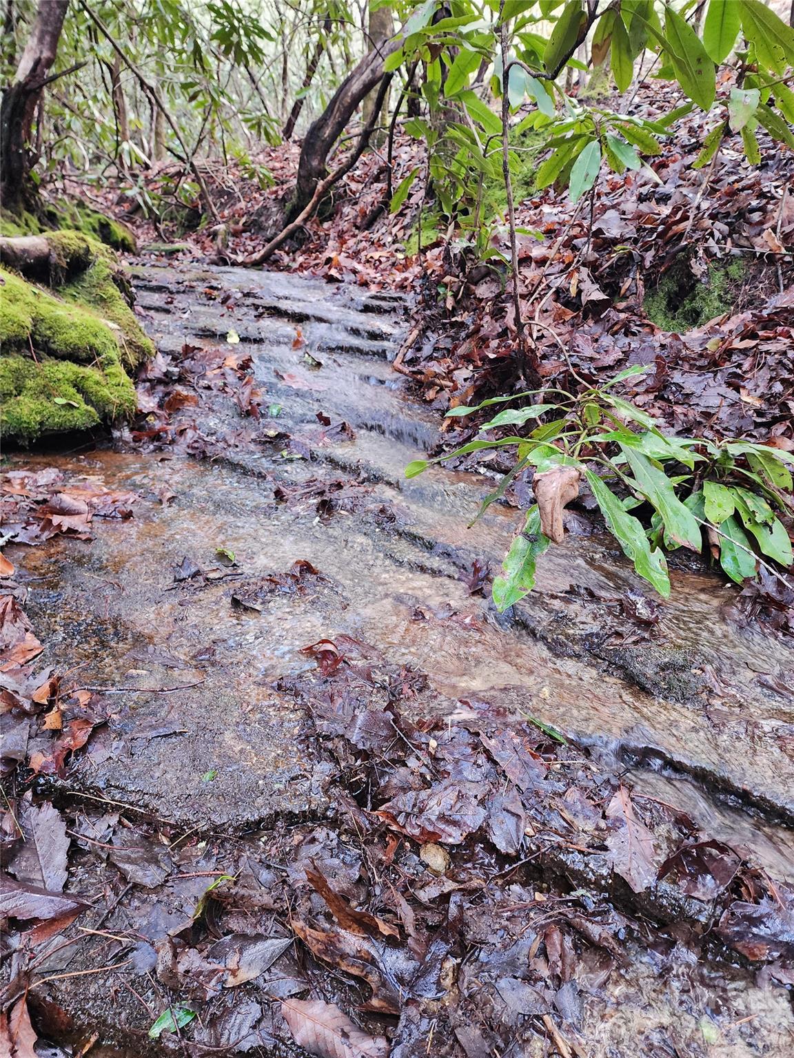 000 Bulling Creek Road Hendersonville NC 28739