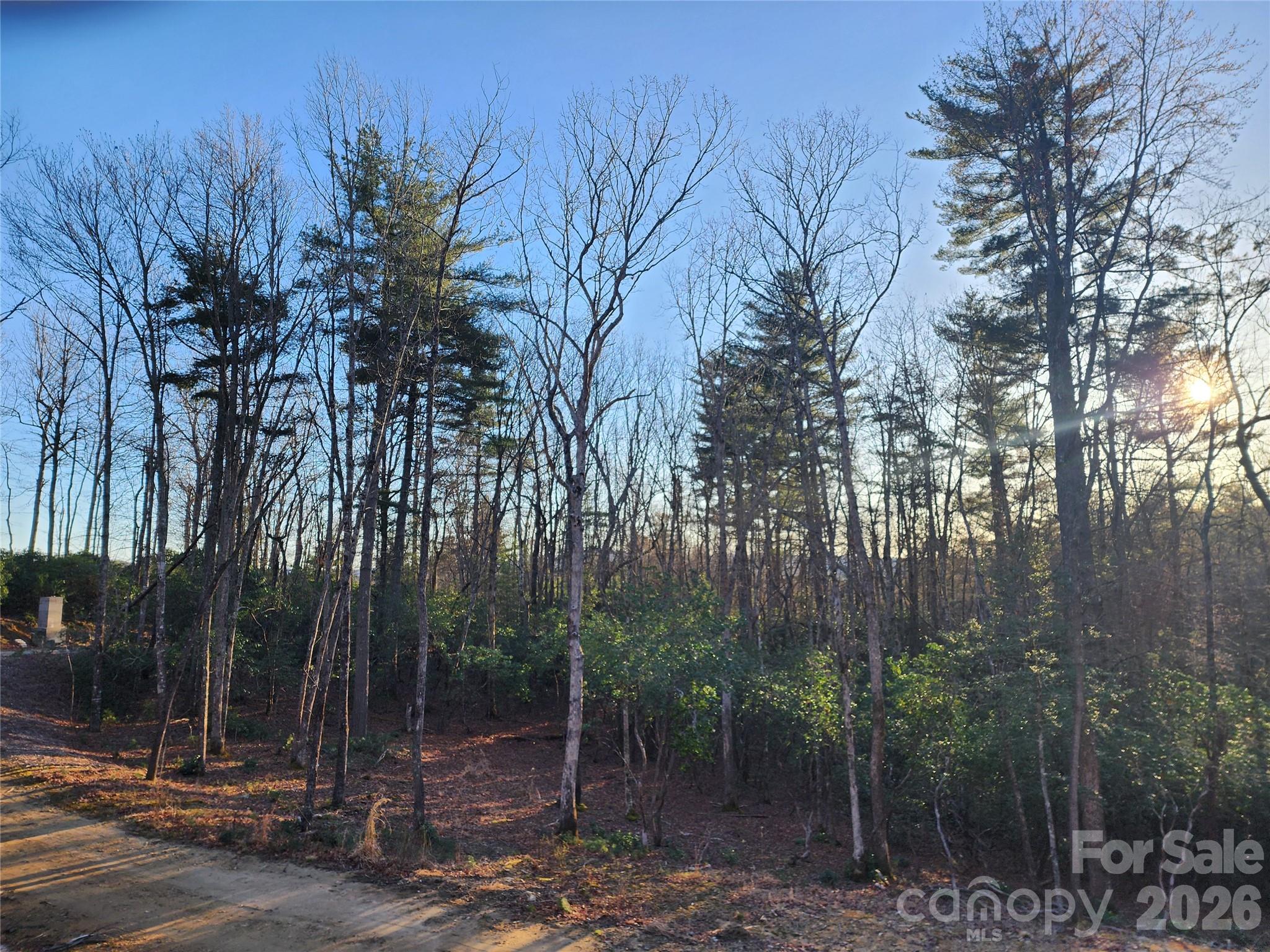 000 Bulling Creek Road Hendersonville NC 28739