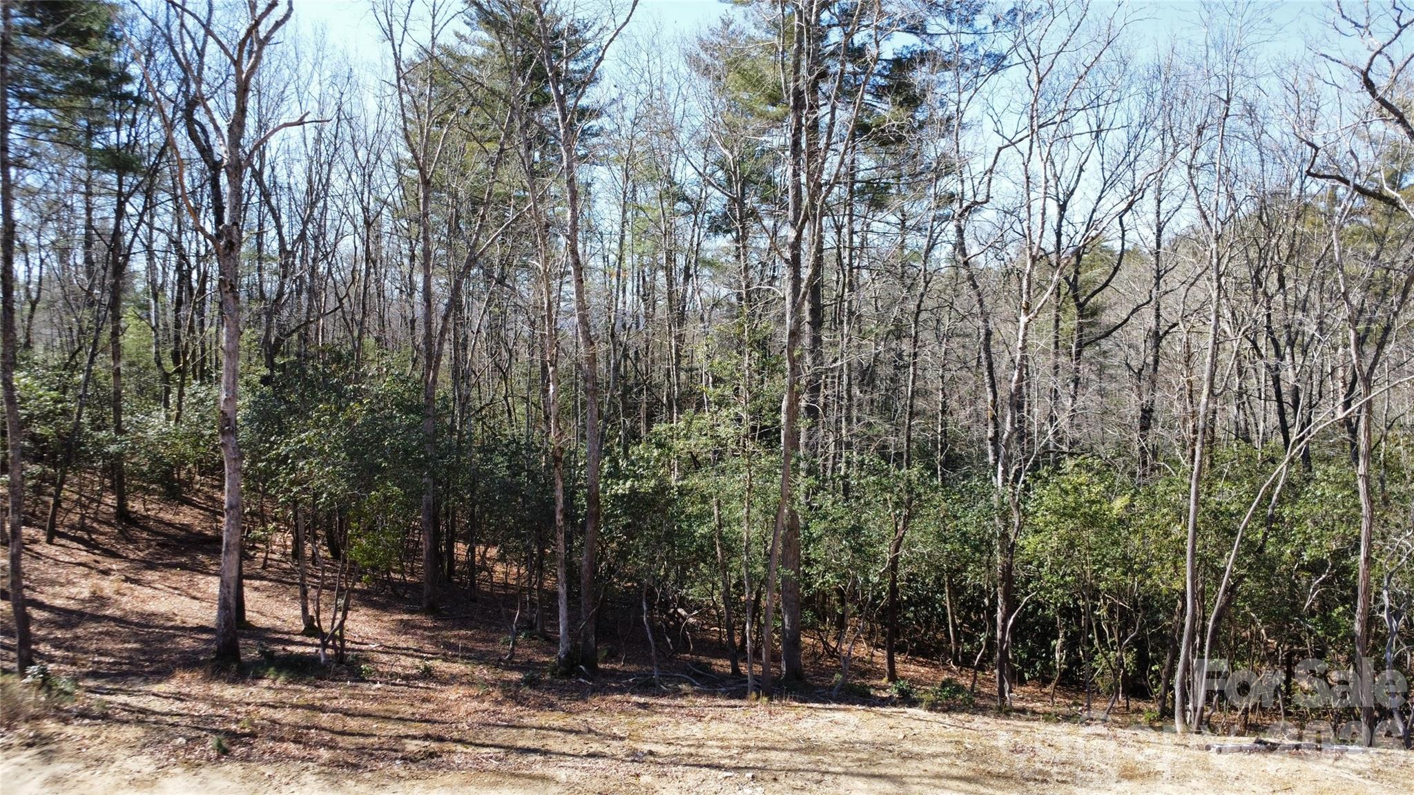 000 Bulling Creek Road Hendersonville NC 28739