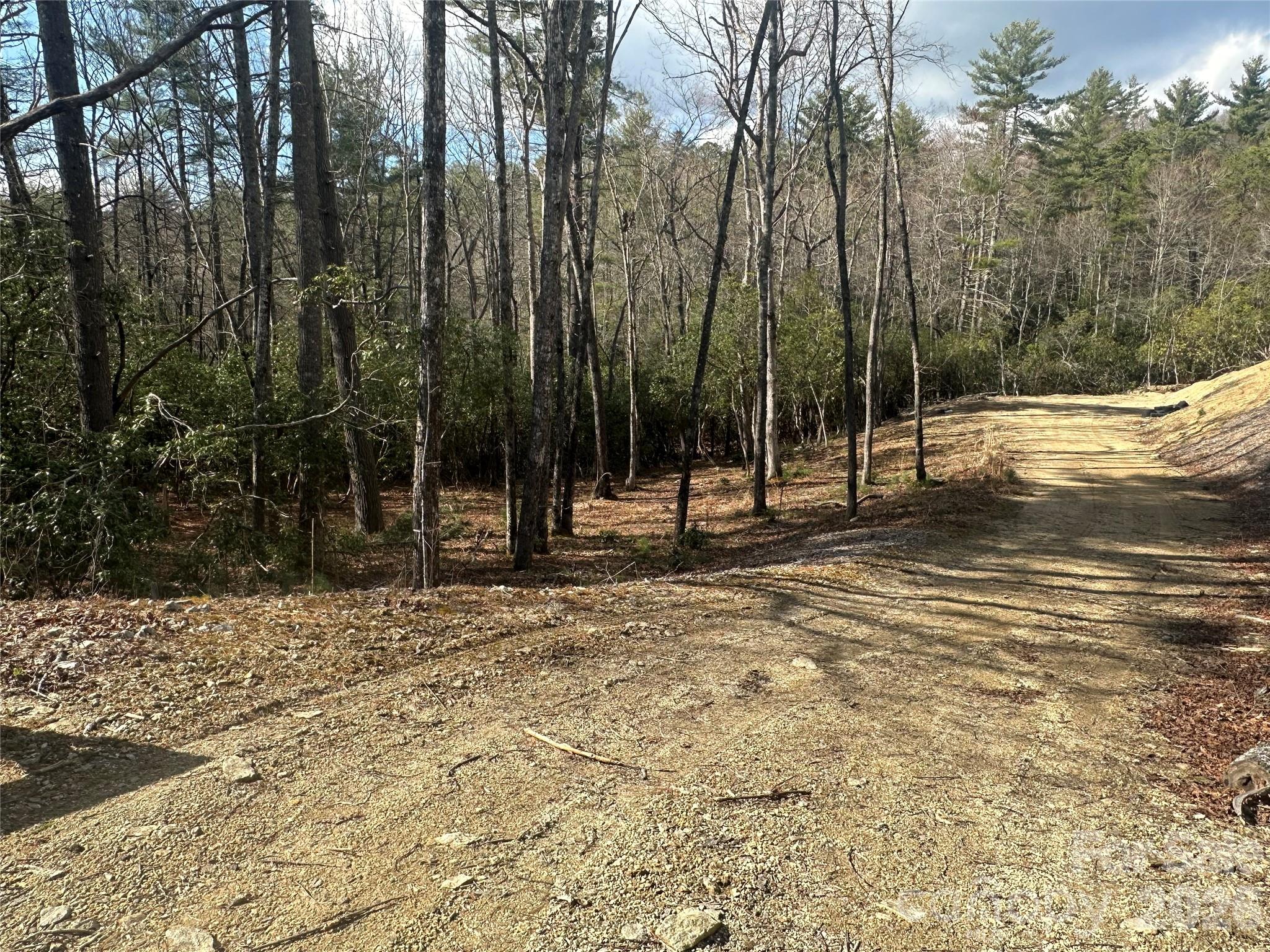 000 Bulling Creek Road Hendersonville NC 28739