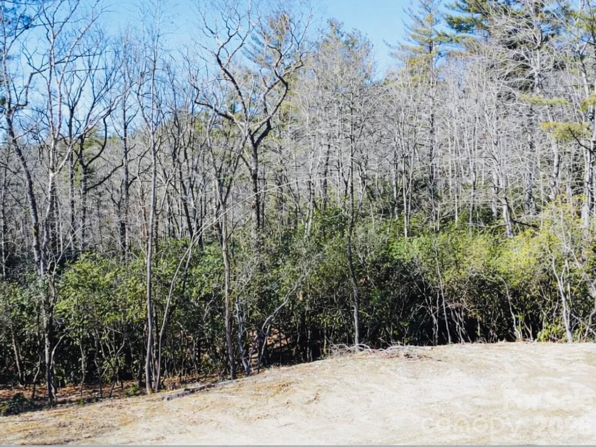 000 Bulling Creek Road Hendersonville NC 28739