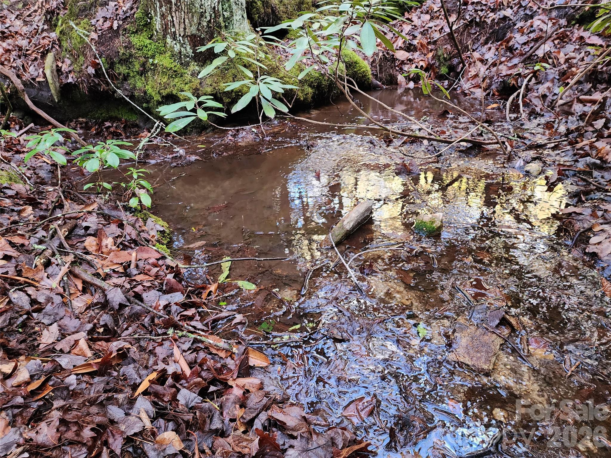 000 Bulling Creek Road Hendersonville NC 28739