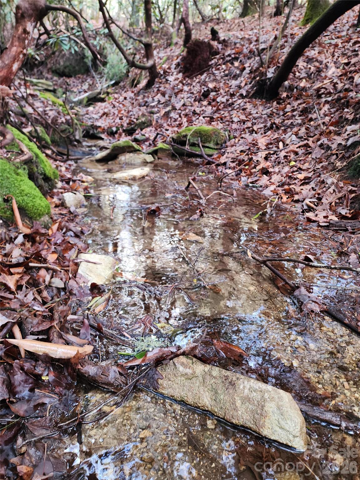 000 Bulling Creek Road Hendersonville NC 28739