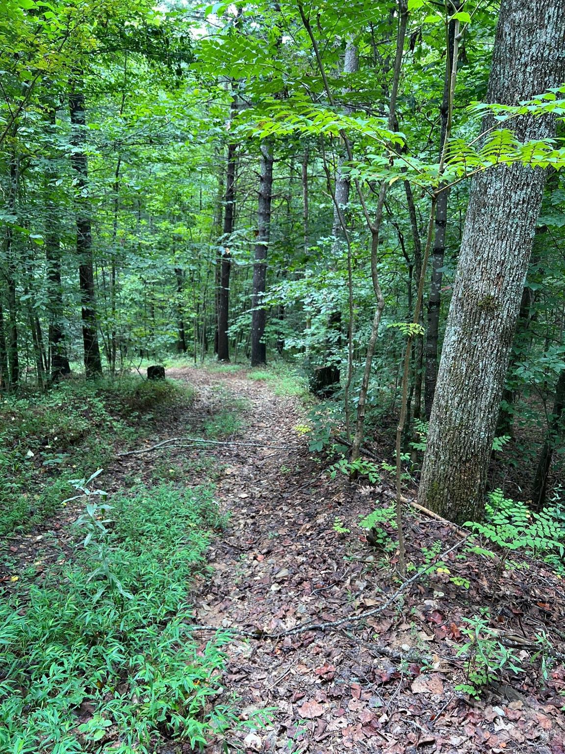 645 Tunnel Road Marion NC 28752
