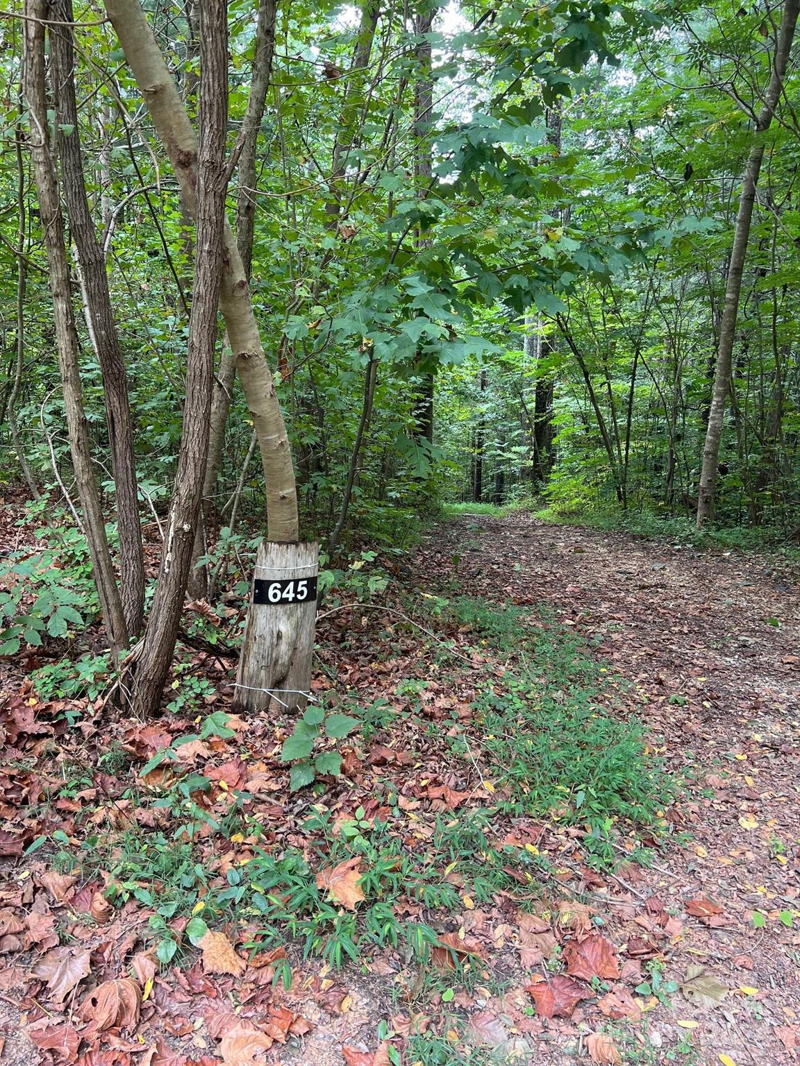 645 Tunnel Road Marion NC 28752