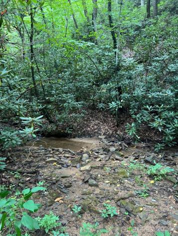 645 Tunnel Road Marion NC 28752