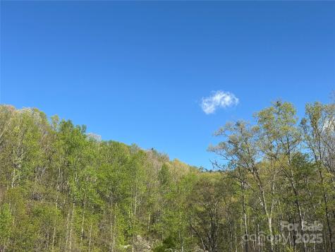 V/l Country Acres Drive Old Fort NC 28762