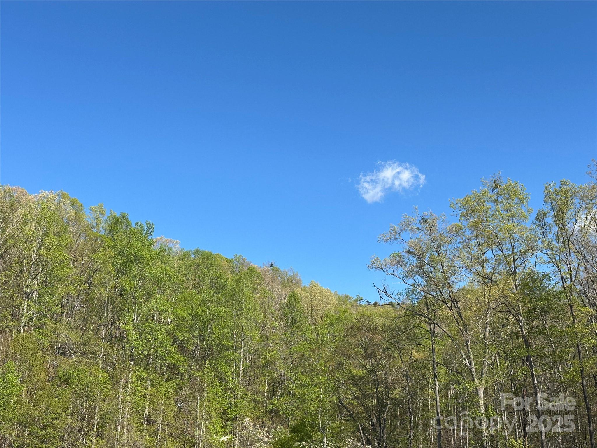 V/l Country Acres Drive Old Fort NC 28762