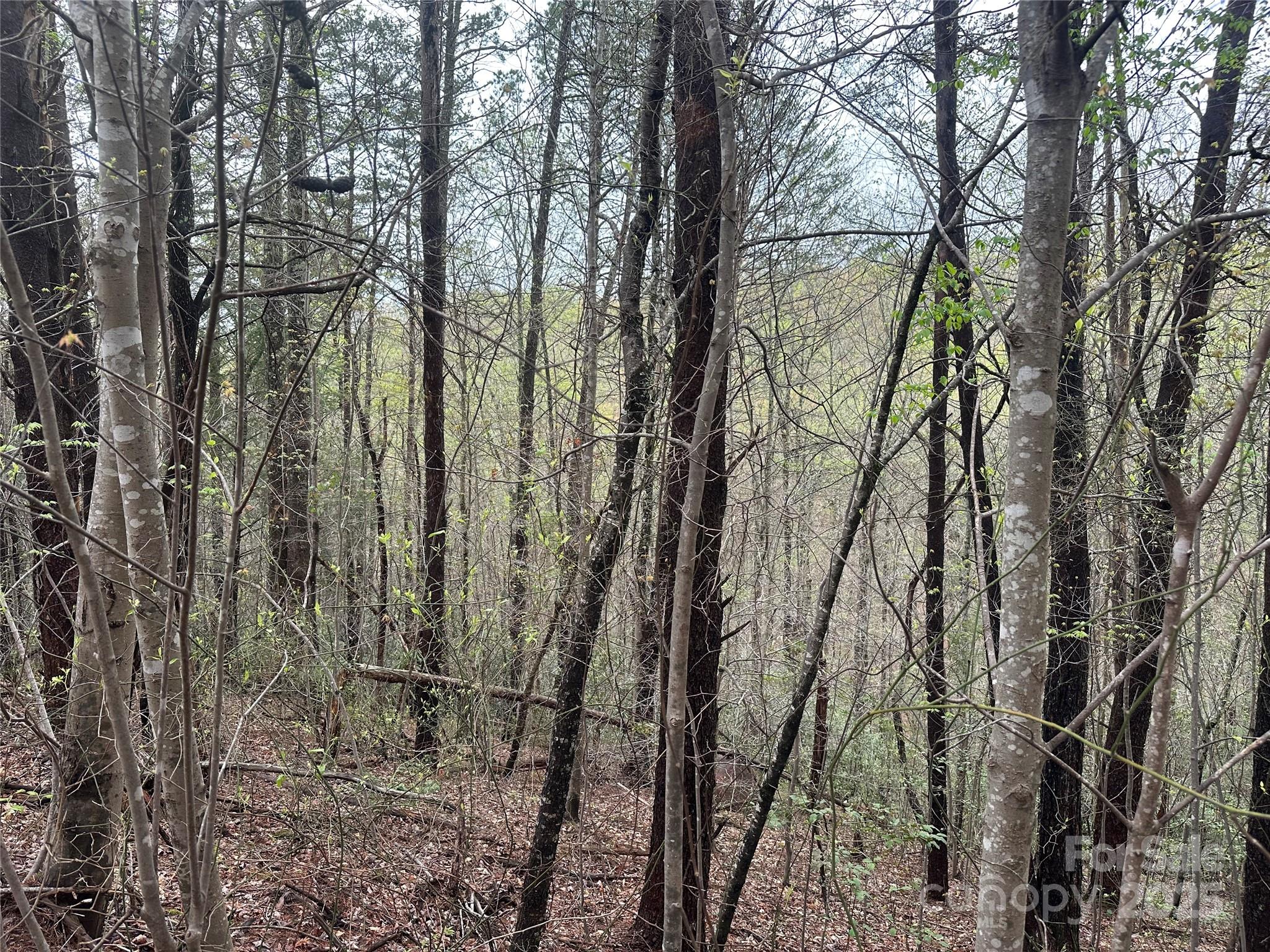 V/l Country Acres Drive Old Fort NC 28762